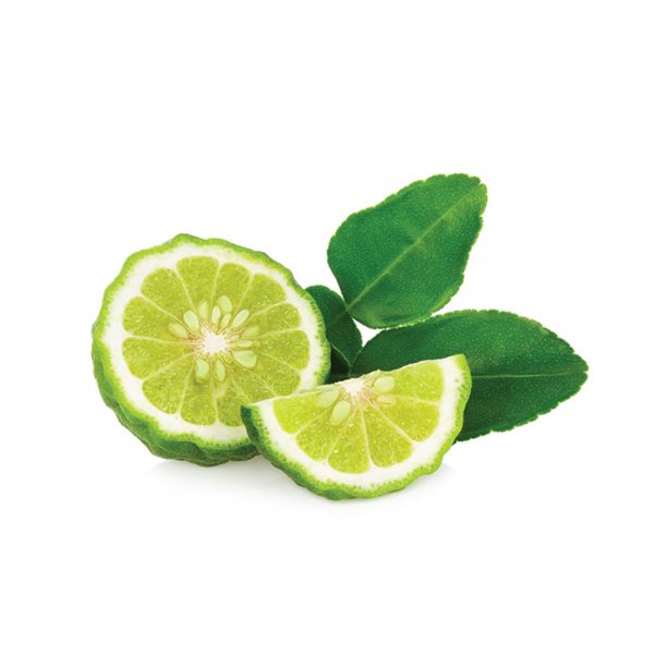 اسانس پودری برگاموت