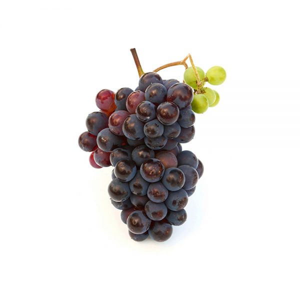 اسانس پودری انگور قرمز (سیاه)