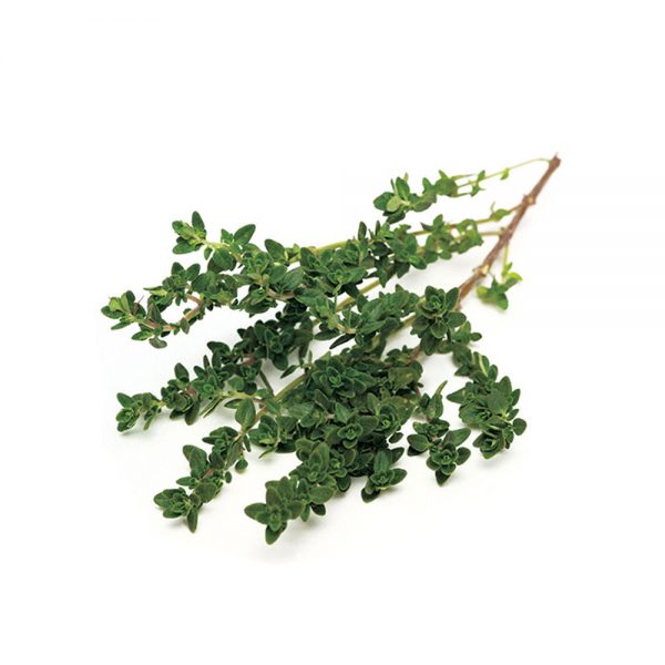 اسانس پودری آویشن