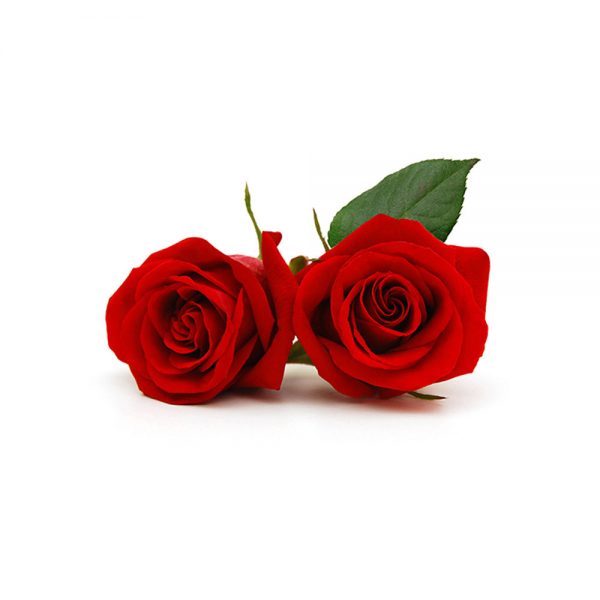 اسانس مایع رز