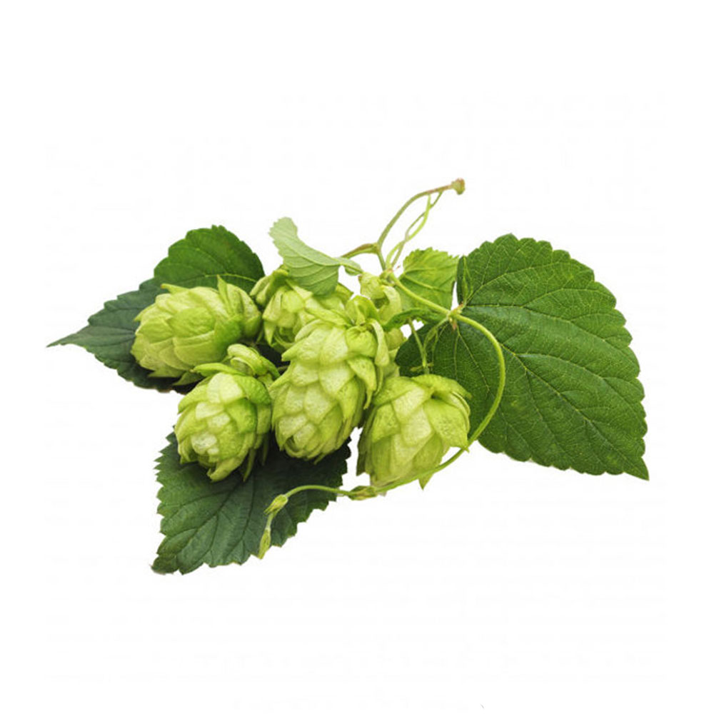 30 اسانس مایع رازک