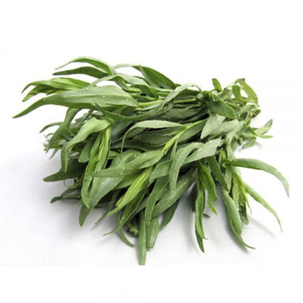 اسانس مایع ترخون