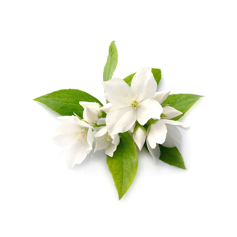 59 اسانس مایع گل یاس