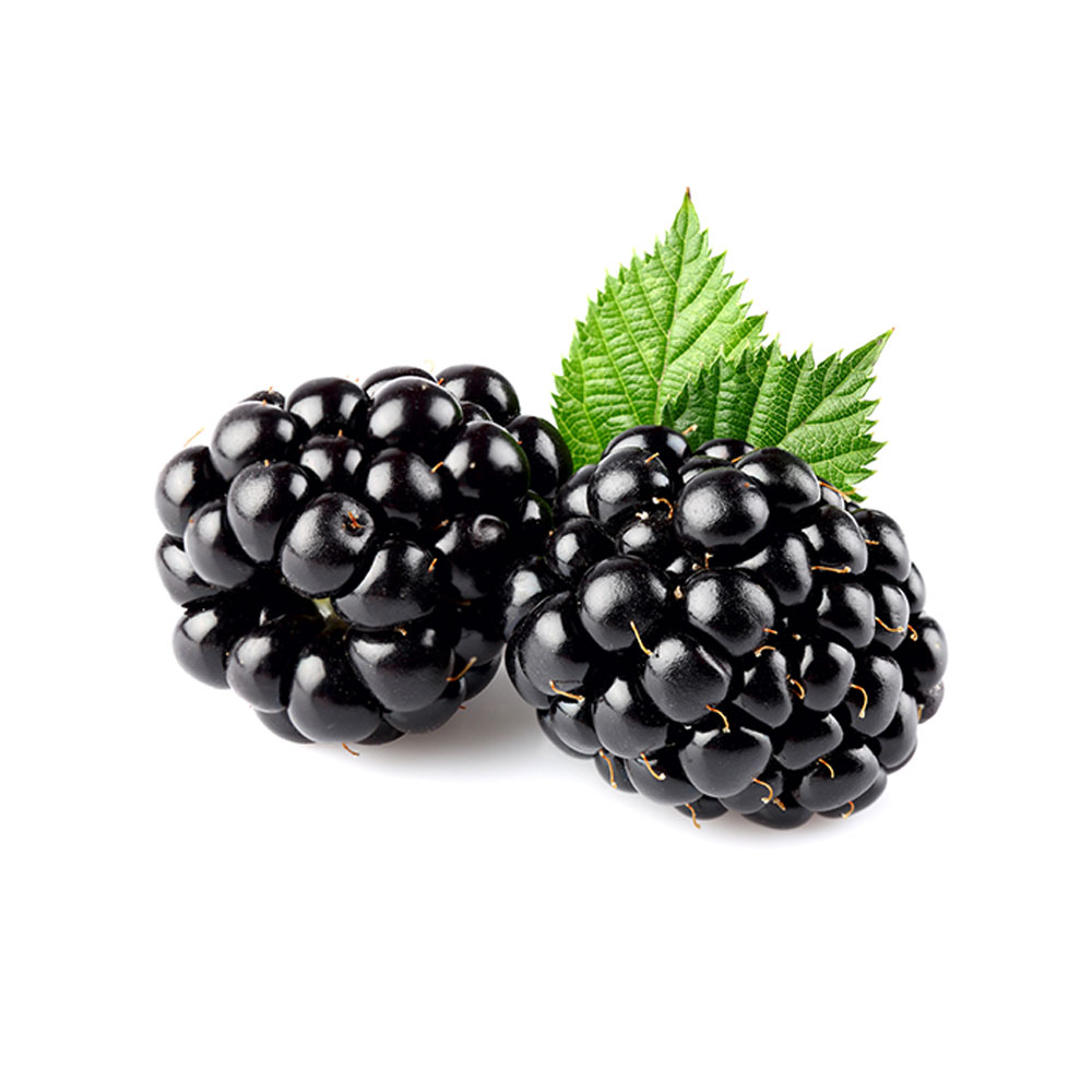 71 اسانس مایع شاه توت